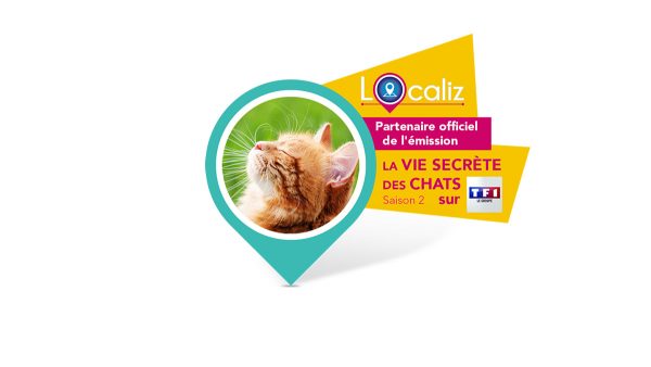 La vie secrète des chats