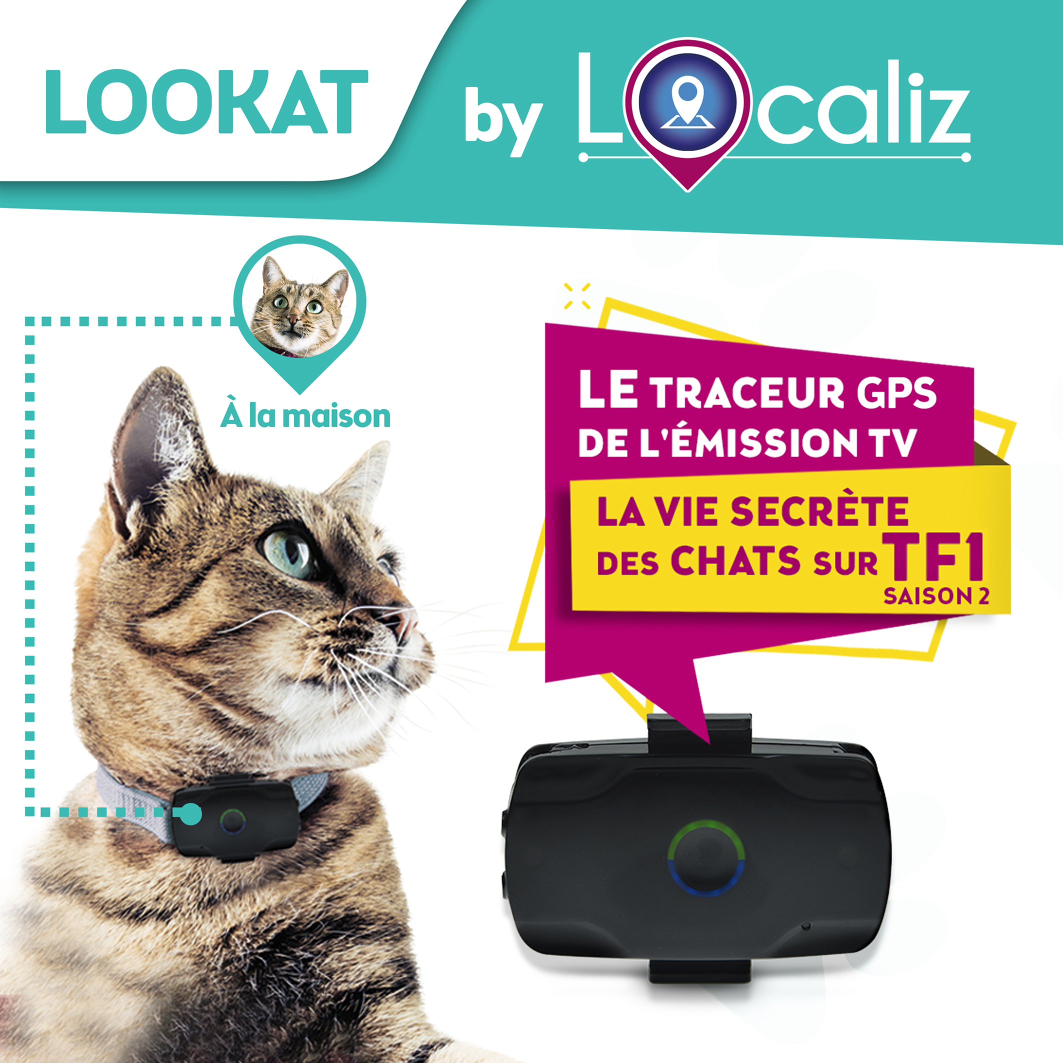 Mini traceur GPS Lookat pour chats