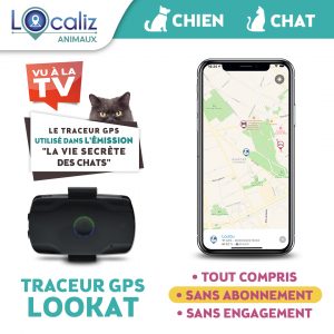 Traceur-GPS-LOOKAT-chat-chien-TF1