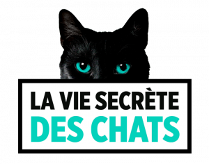 Localiz, partenaire de l'émission TV "La vie secrète des chats" sur TF1