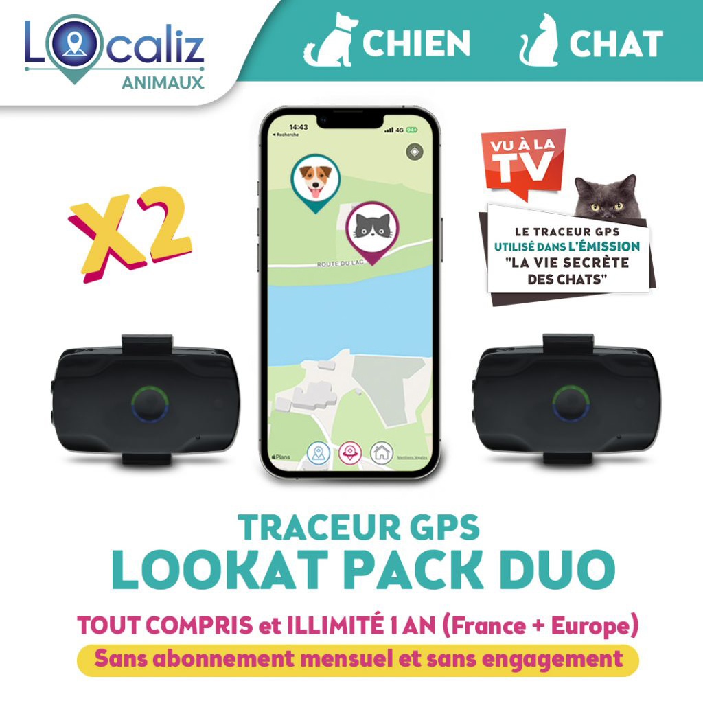 Pack Duo traceur gps Lookat de Localiz pour le sinséparables