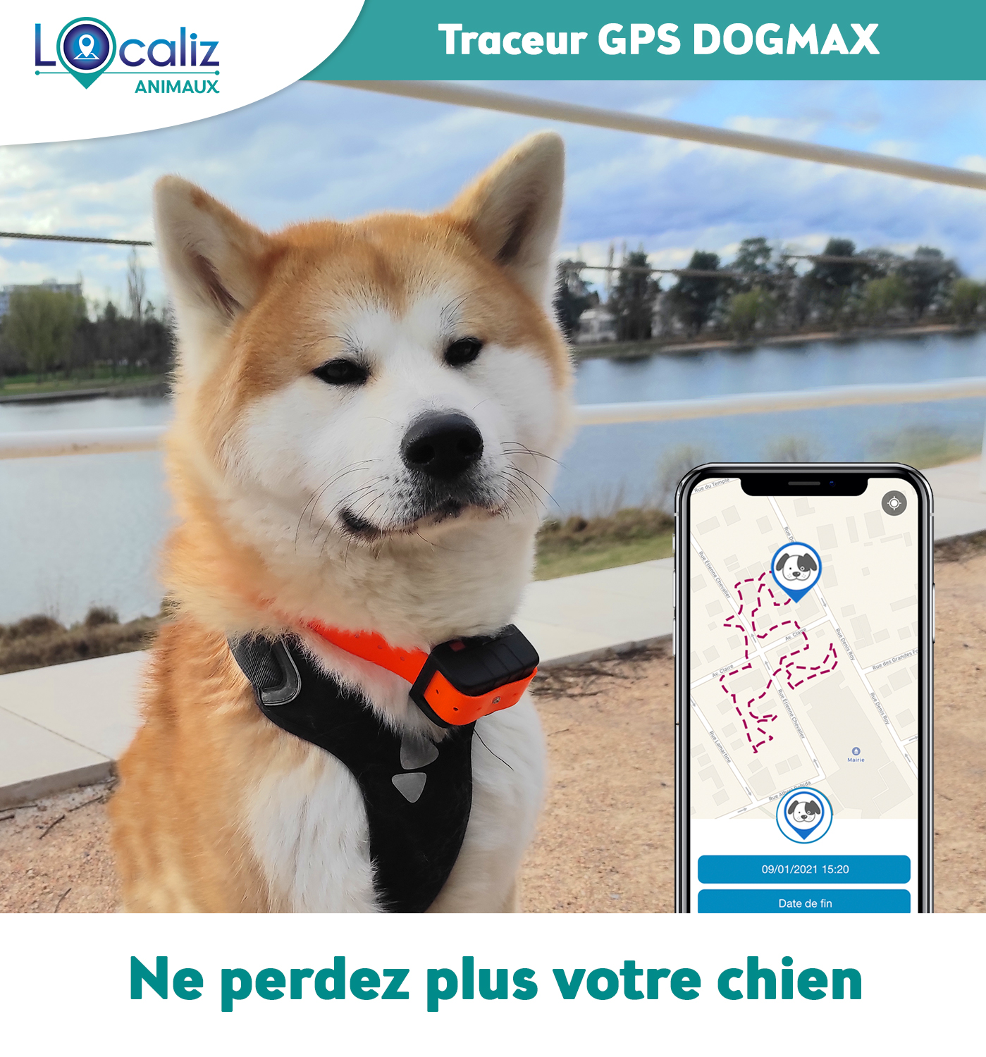 COLLIER GPS DOGMAX LOCALIZ. Le collier GPS idéal pour les chiens