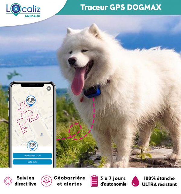 Collier GPS Dogmax 100% étanche