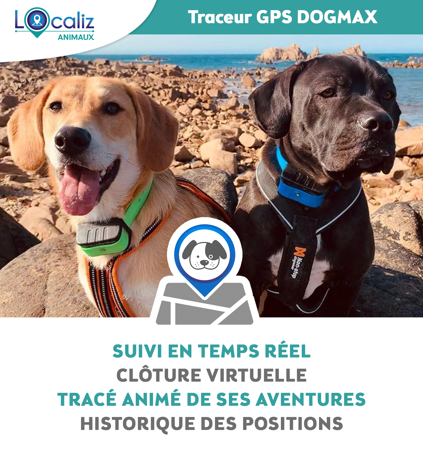 Traceur Tractive GPS pour chien