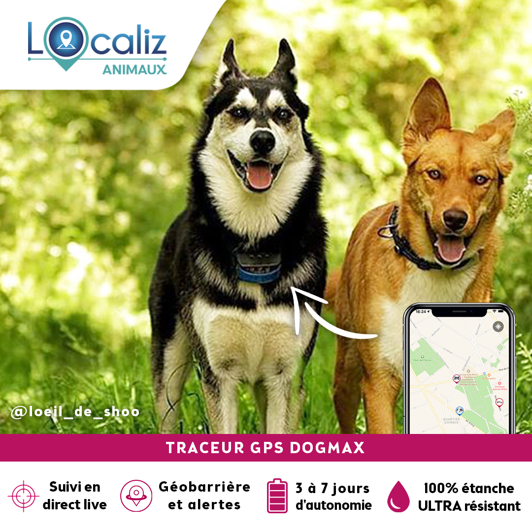 Colliers, harnais et laisses pour chiens LOCALIZ Lookat Traceur