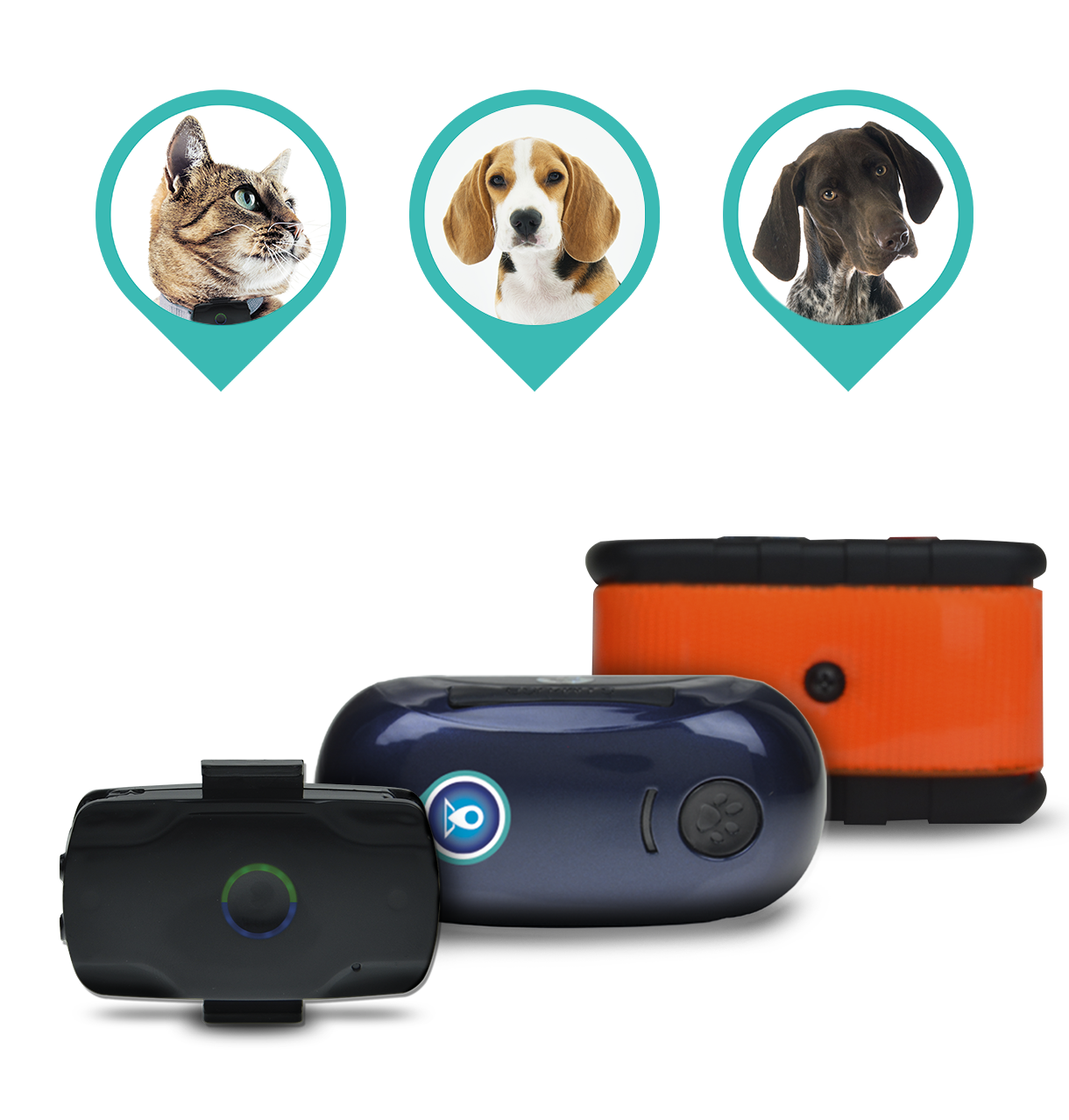 Mini GPS pour chiens et chats - Chiens & Chats Boutique