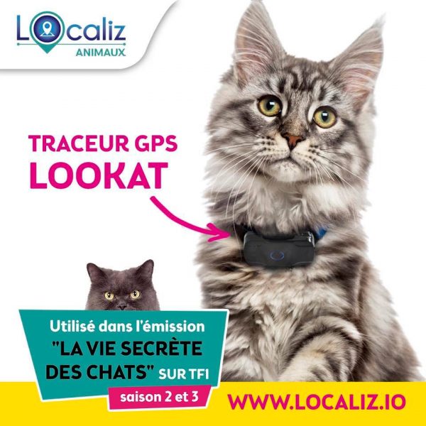 Traceur GPS pour chat