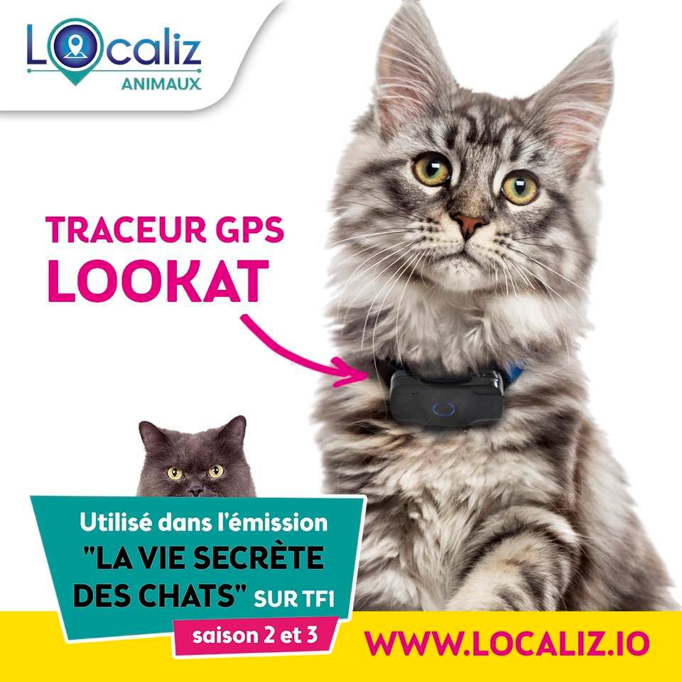 Géolocalisation de votre chat : Le Lookat de Localiz