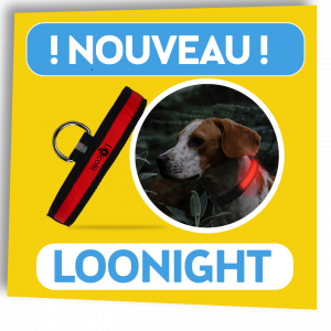 Localiz Traceurs Gps Sans Abonnement Chats Chiens