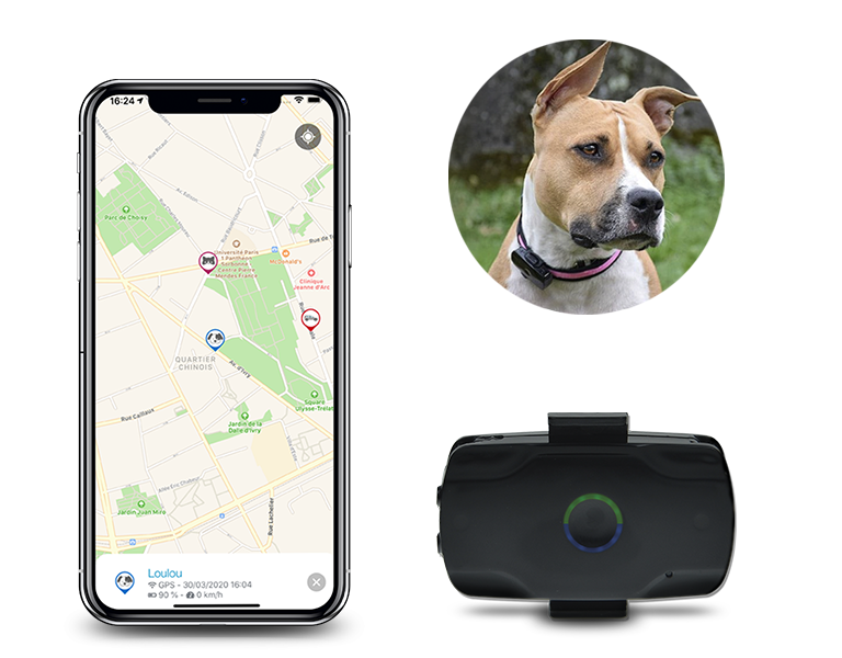 Collier gps pour chiens sans abonnement, suivez-les en temps réel
