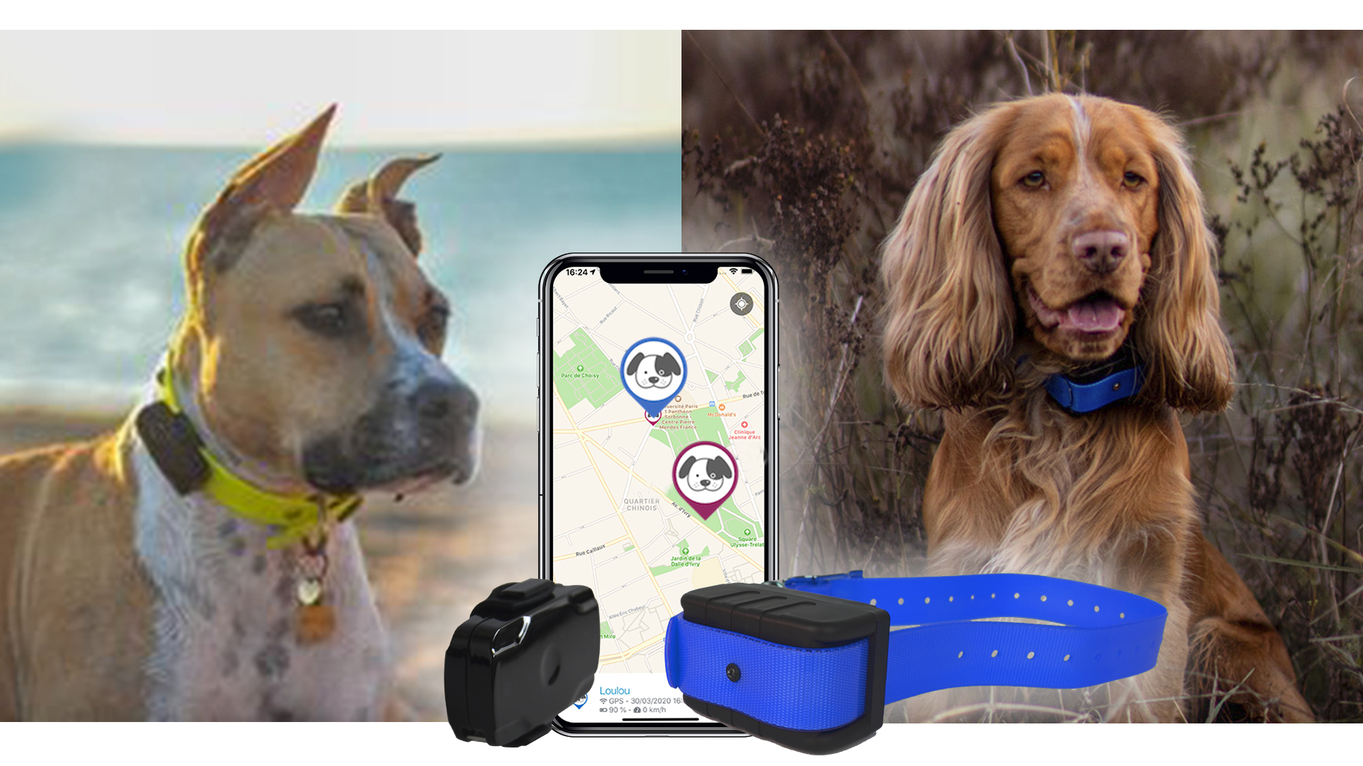 Mini GPS pour chiens et chats - Chiens & Chats Boutique