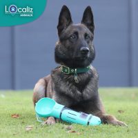 PERFECT BOTTLE  Gourde pour chiens 4-en-1 – La Niche Futée