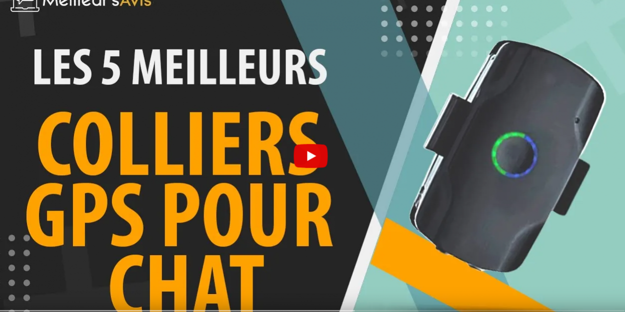 2022-01-25_19h47_53 Les 5 meilleurs colliers gps