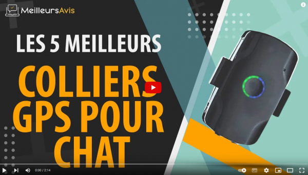 Les 5 meilleurs colliers gps
