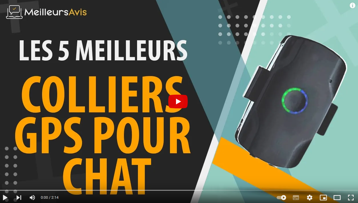 Les 5 meilleurs colliers gps