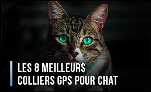 Bien choisir son gps chat