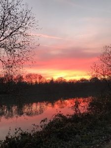Carrières sur Seine