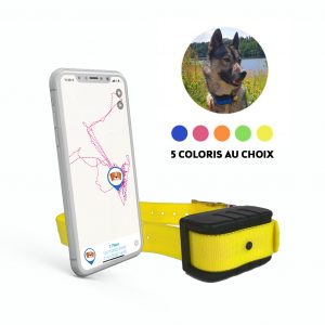 COLLIER GPS DOGMAX