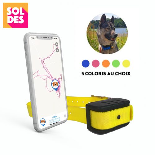 Dogmax-collier-GPS-Traceur-gps-chien-Localiz
