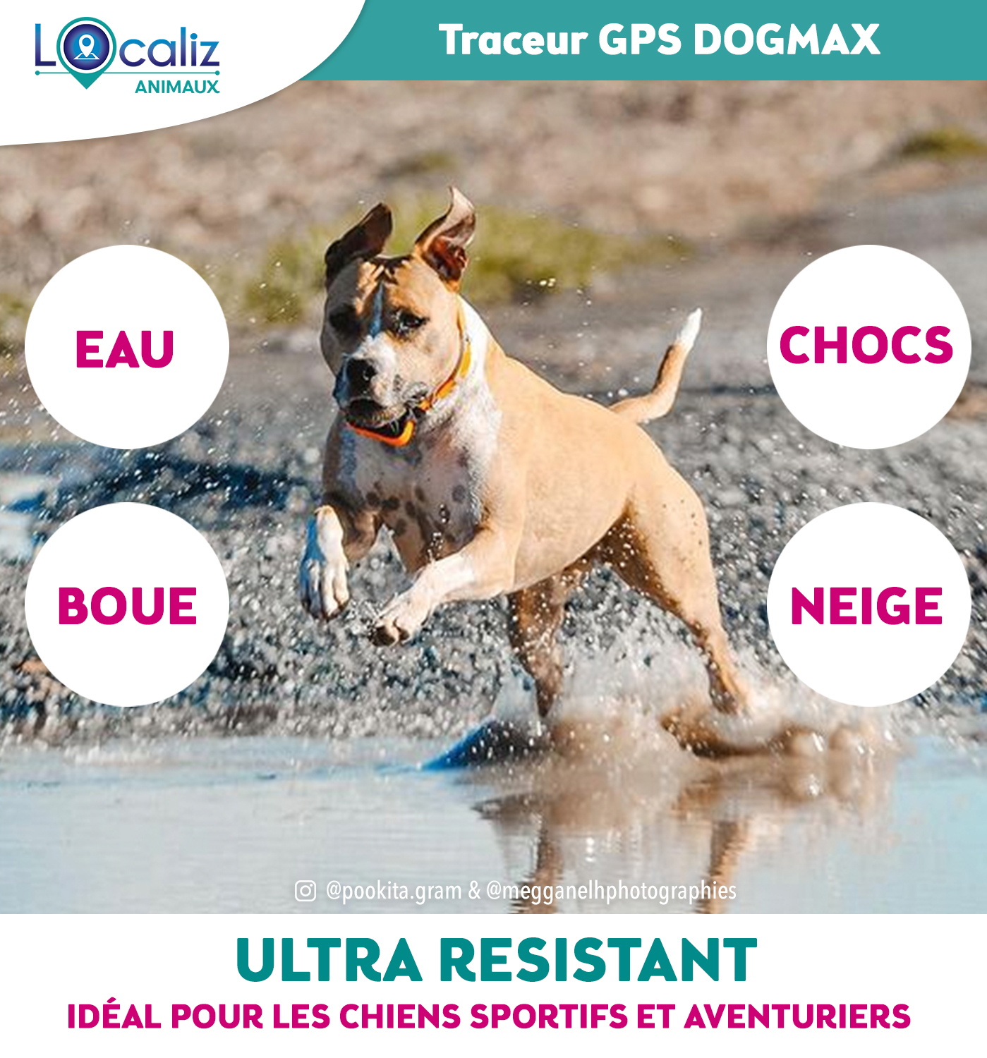 Mini Traceur GPS Animaux, GPS Chien, Traceur GPS Chien Chat Animal