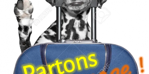 Partons En Voyage avec Toutou Partons En Voyage avec Toutou