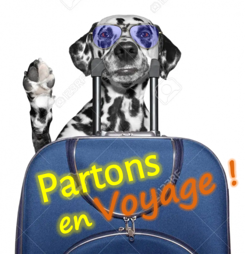 Partons En Voyage avec Toutou