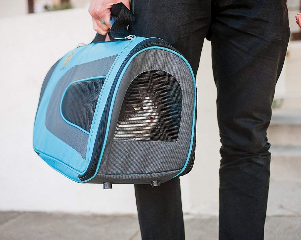 chat et cage de transport