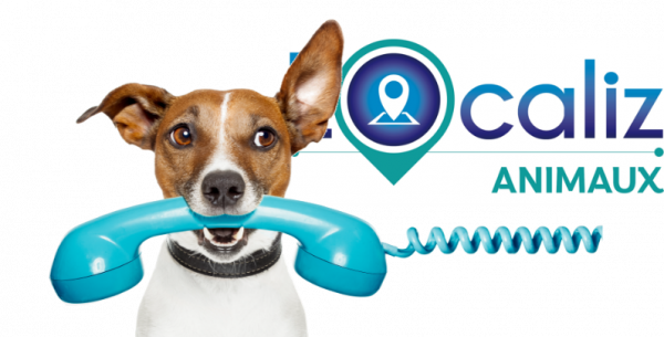 Le mot de la technique