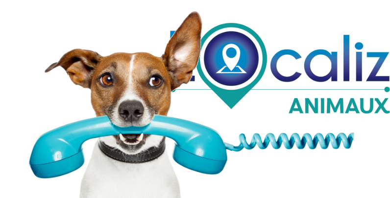 Le mot de la technique