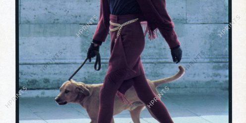 Chien de Star-L’amour tendre Chien de Star-L'amour tendre