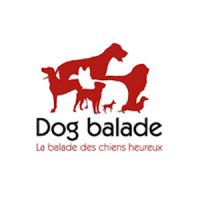 Dog balade - La balade des chiens heureux