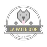 La patte d'or Coach canin