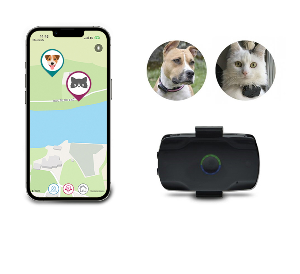 Collier GPS pour Chien/Chat géolocaliser sans abonnement en temps réel –  MONICLAR