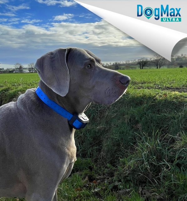 COLLIER GPS DOGMAX ULTRA