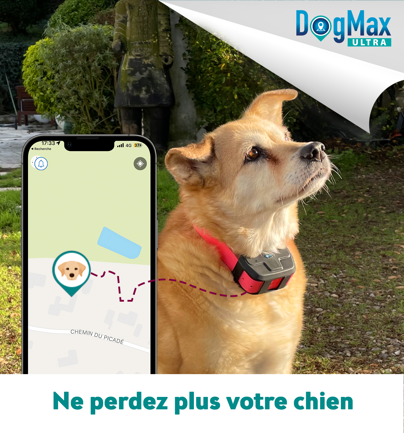 Collier GPS Chien - Chiens & Chats Boutique