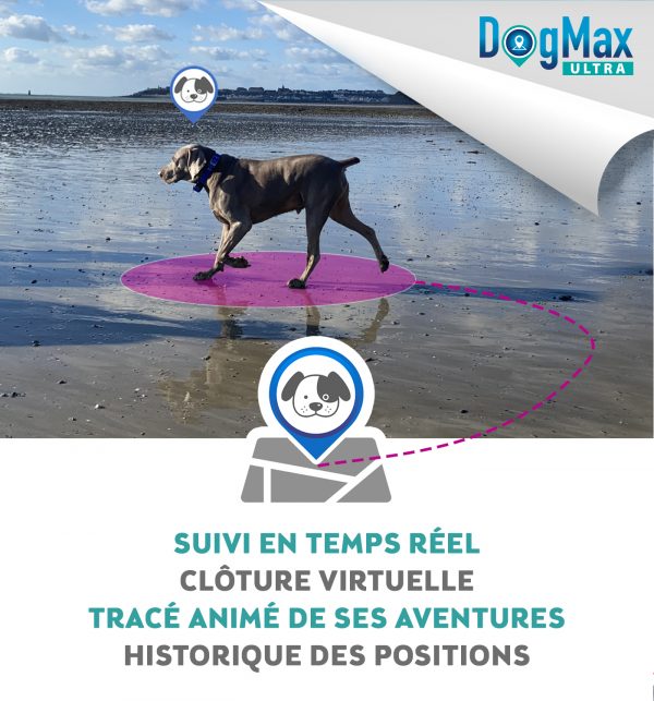 COLLIER GPS DOGMAX ULTRA