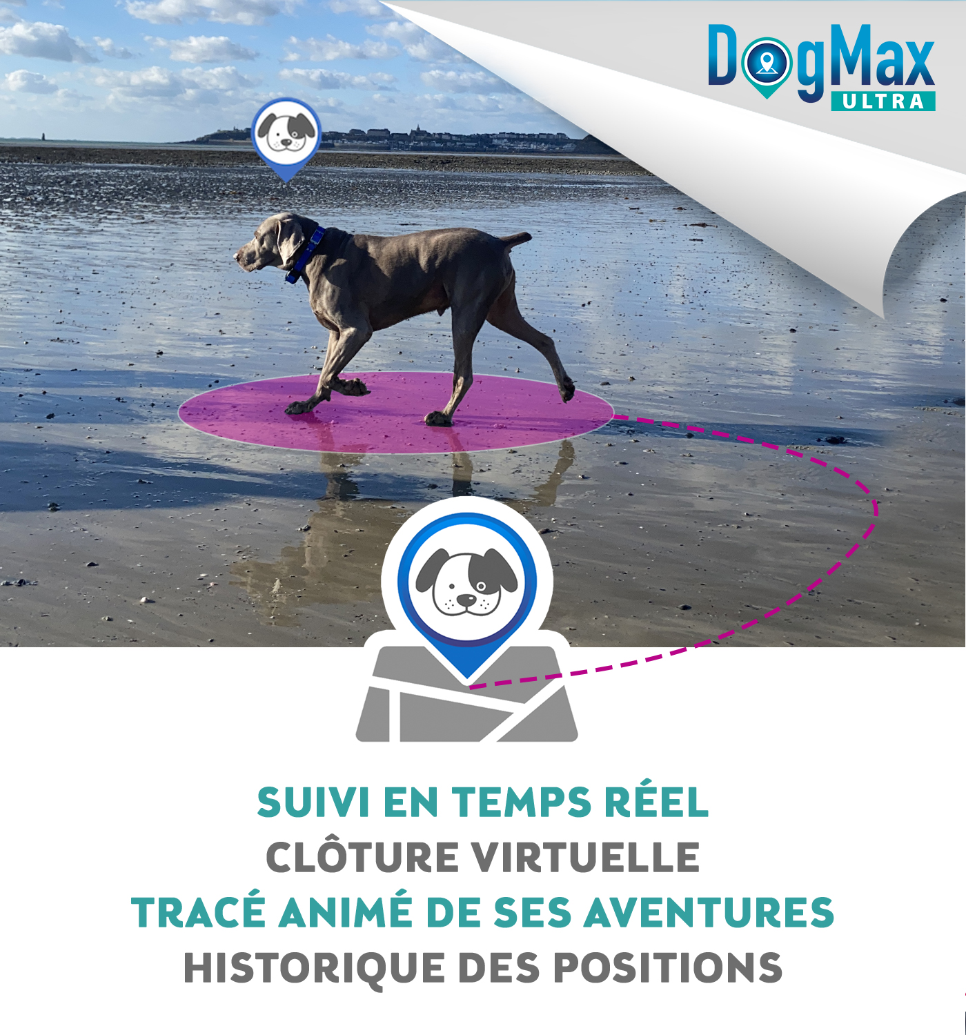 COLLIER GPS DOGMAX ULTRA LOCALIZ