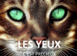 LES YEUX C'EST PRECIEUX