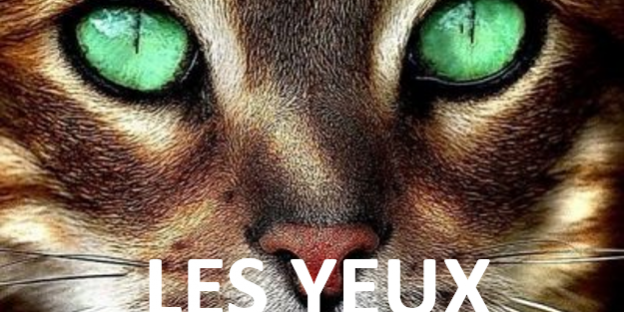 LES YEUX C'EST PRECIEUX