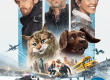 Affiche officielle du film chien & chat