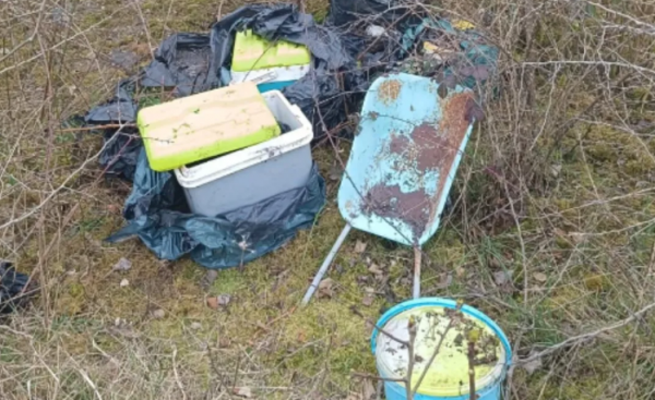 17 chats retrouvés morts en lisière de Chanteloup-les-Vignes